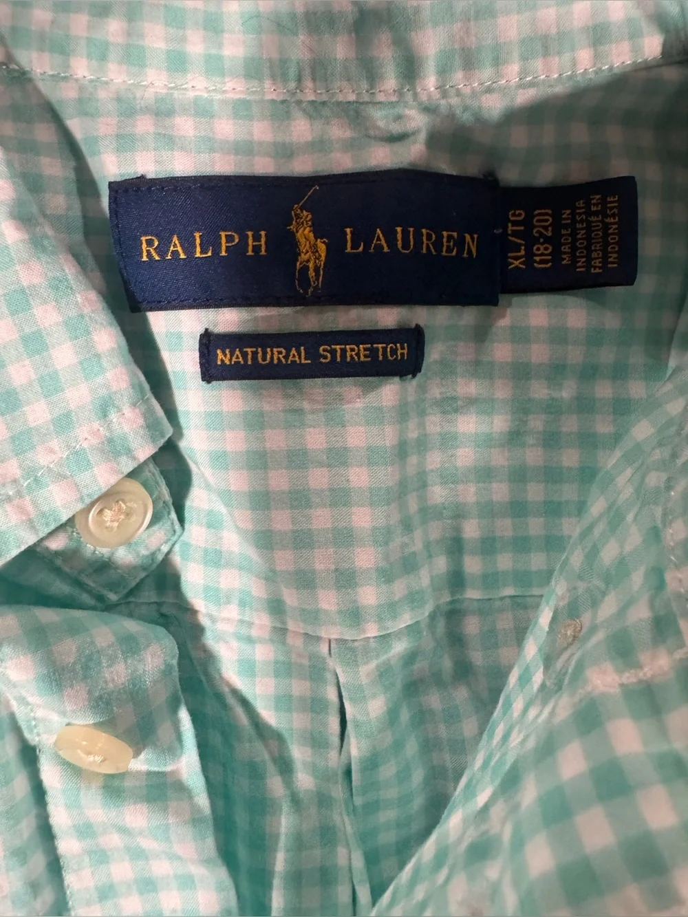 Polo by Ralph Lauren Men’s Mint Gingham Button-Down Shirt